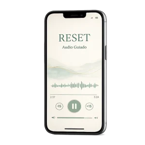 RESET